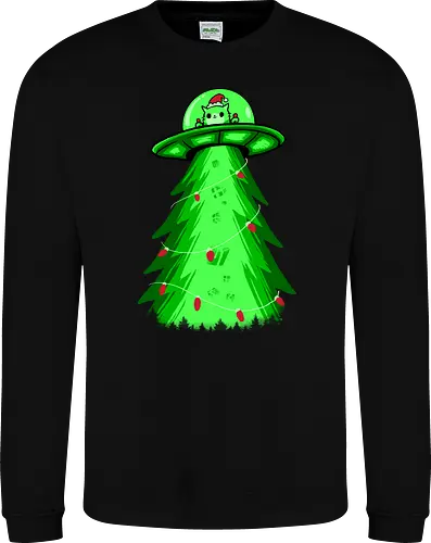 meow ter space delivery service