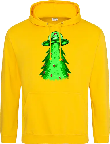 meow ter space delivery service