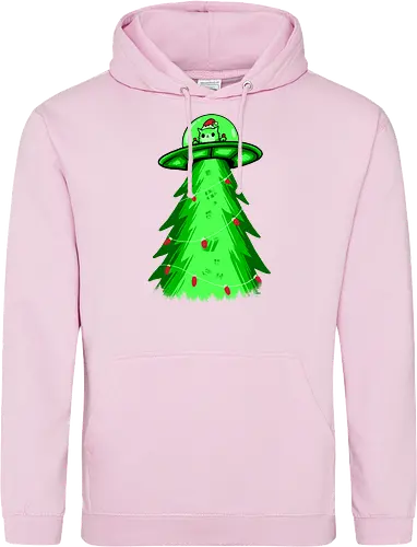 meow ter space delivery service