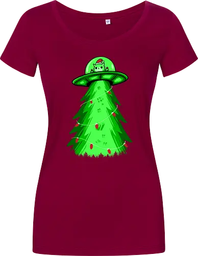 meow ter space delivery service