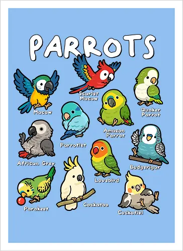 Parrots of the World