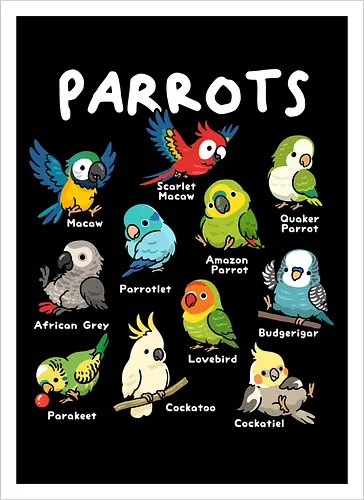 Parrots of the World