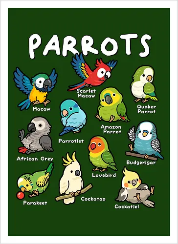 Parrots of the World