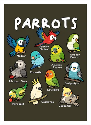Parrots of the World