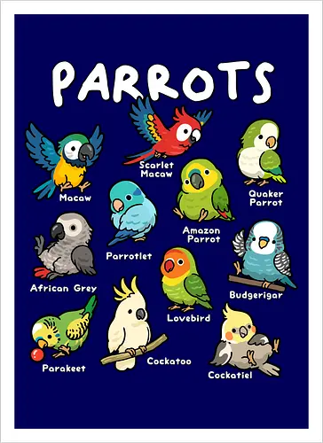 Parrots of the World