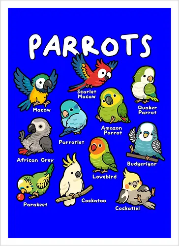 Parrots of the World