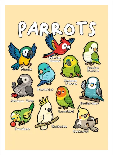 Parrots of the World