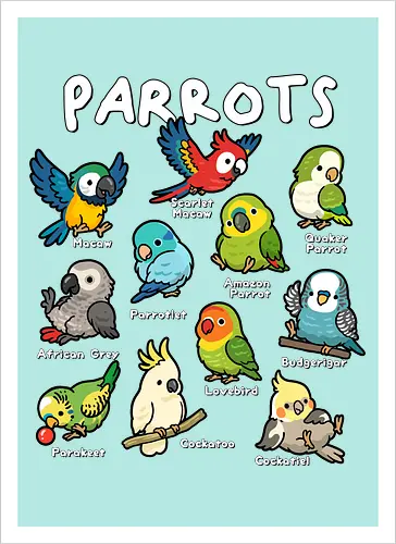 Parrots of the World