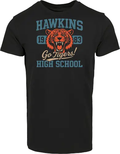 Hawkins Tigers