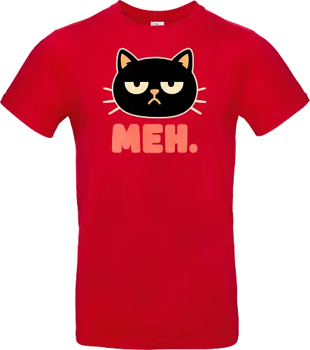 Meh Cat