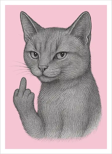 MiddleFingerCat