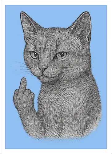 MiddleFingerCat