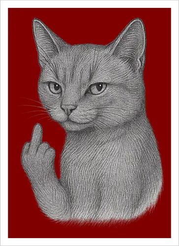 MiddleFingerCat
