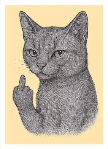 MiddleFingerCat