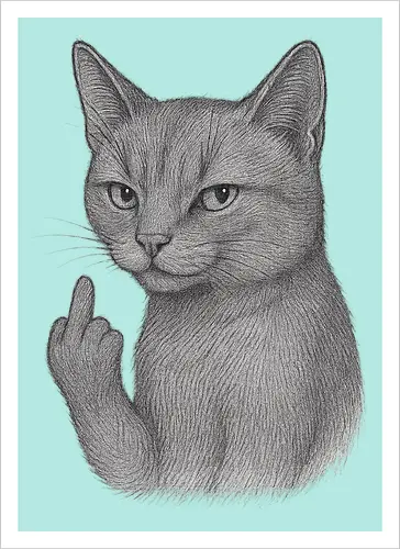 MiddleFingerCat