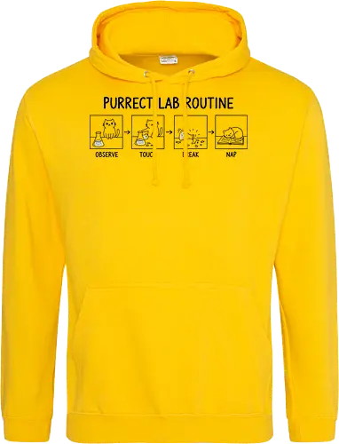 Purrect Lab Routine: Observe, Touch, Break, Nap