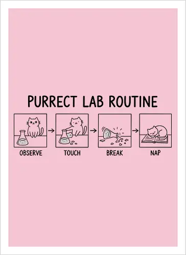 Purrect Lab Routine: Observe, Touch, Break, Nap