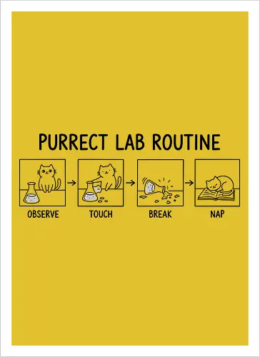 Purrect Lab Routine: Observe, Touch, Break, Nap