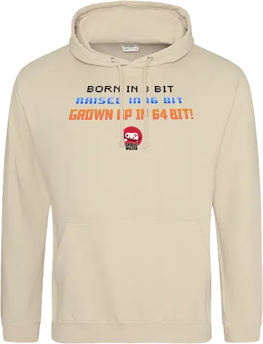 Spielewelten - Born in 8 Bit