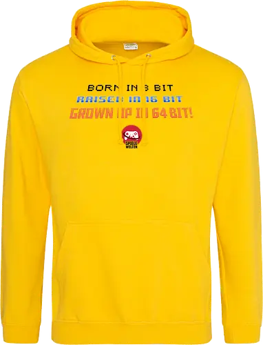 Spielewelten - Born in 8 Bit