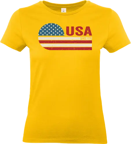 Retro USA - retro, rebel, 70s, movies, films, date, galaxy, star, USA, flag, vintage - Standard T-Shirt (Women)