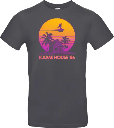Kame House 86