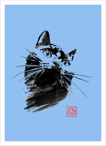 chat