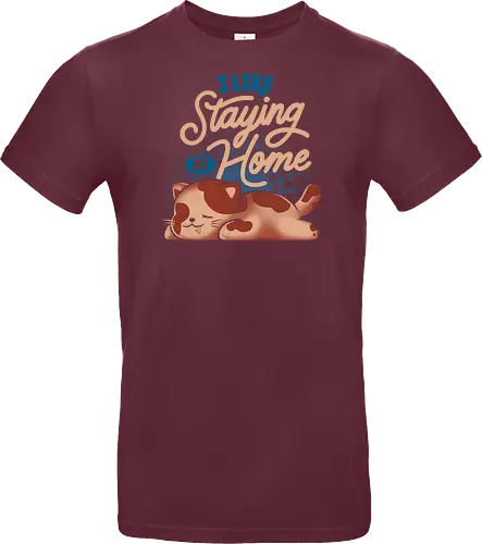 I Like Staying at Home