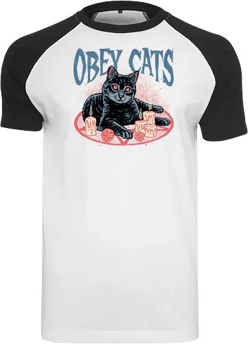Obey Cats