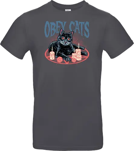 Obey Cats