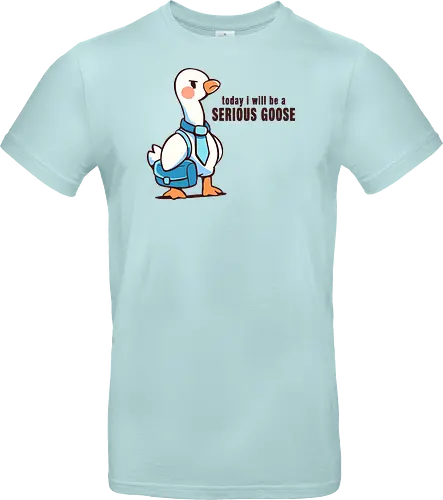 Today I Will be a Serious Goose