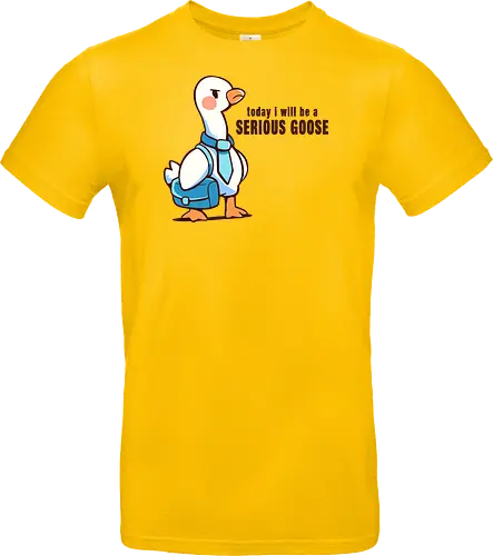 Today I Will be a Serious Goose