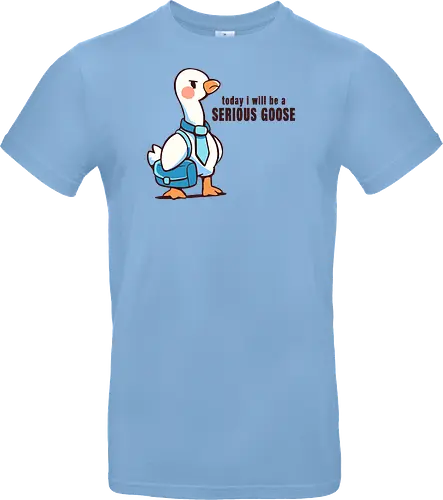 Today I Will be a Serious Goose