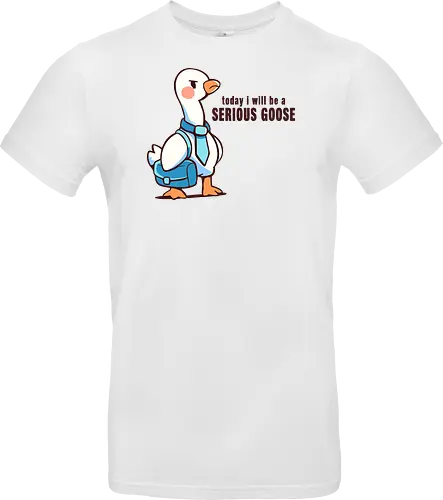 Today I Will be a Serious Goose