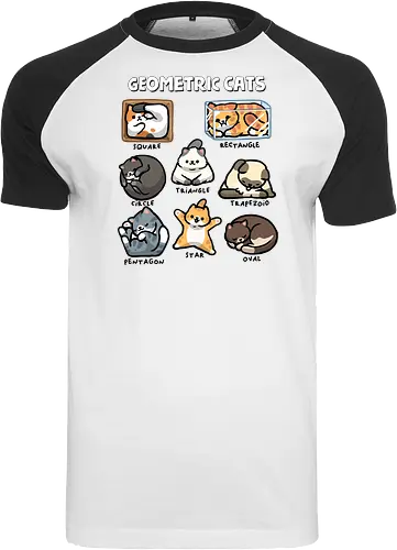 Geometric Cats