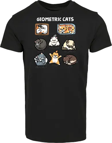 Geometric Cats