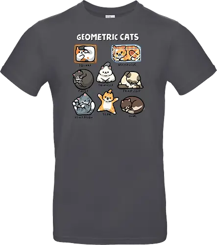 Geometric Cats