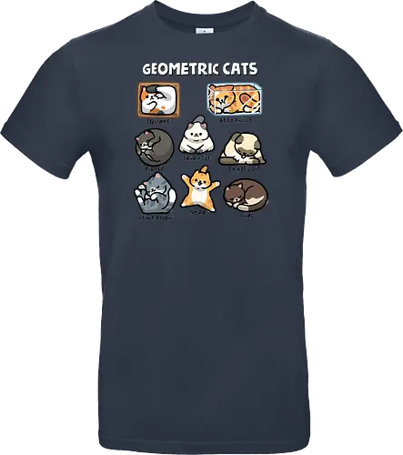 Geometric Cats