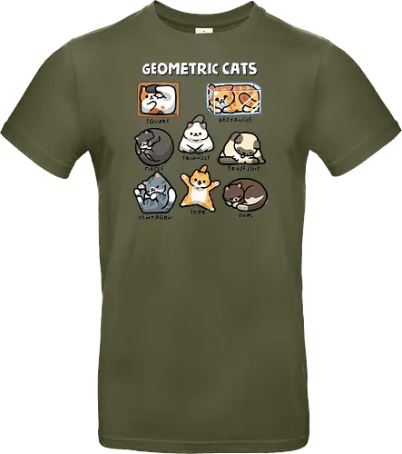 Geometric Cats