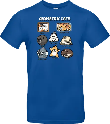 Geometric Cats