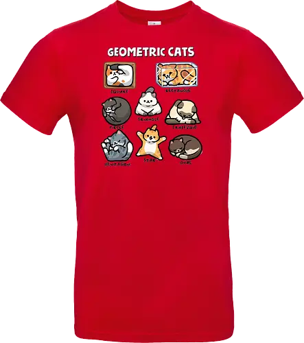 Geometric Cats