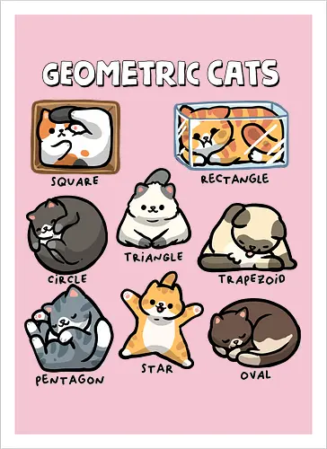 Geometric Cats
