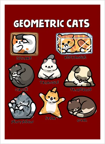 Geometric Cats