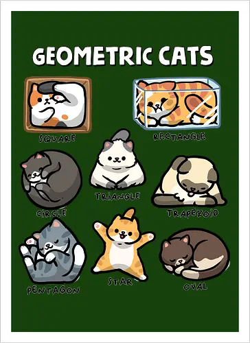 Geometric Cats