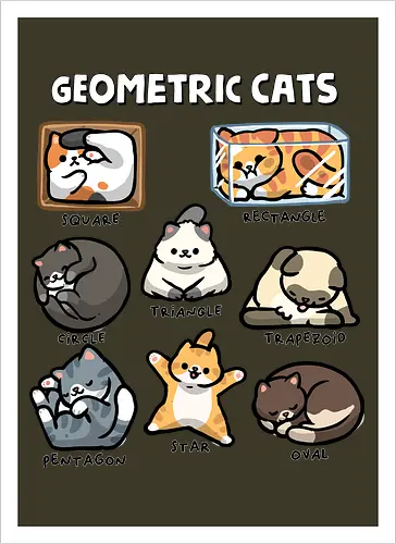 Geometric Cats