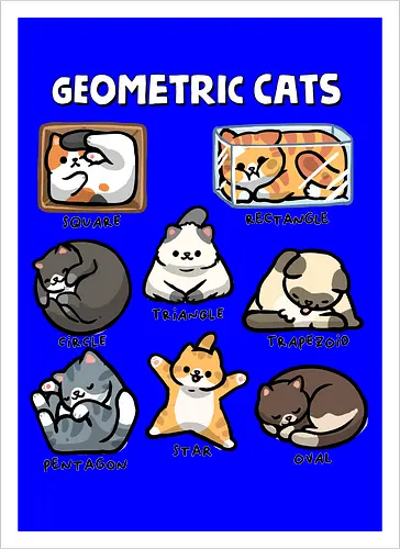 Geometric Cats