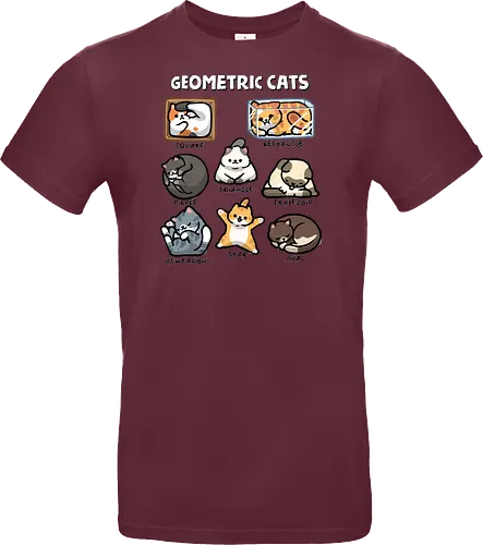 Geometric Cats