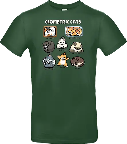 Geometric Cats