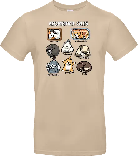 Geometric Cats