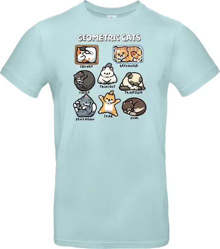 Geometric Cats